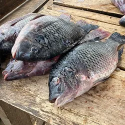 Mwaloni Market - Mwanza