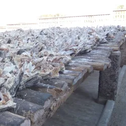 Mwaloni Market - Mwanza