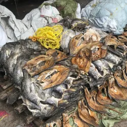 Mwaloni Market - Mwanza