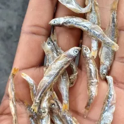 Mwaloni Market - Mwanza