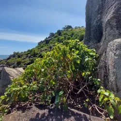 Rocky Outcrops and Hiking Trails - Mwanza
