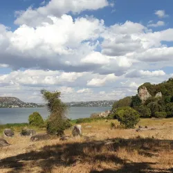 Saanane Island National Park - Mwanza
