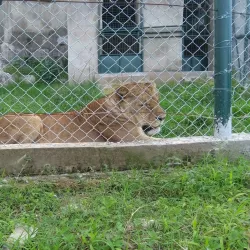 Saanane Island National Park - Mwanza