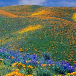 Kitulo National Park - Njombe