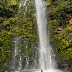 Kitulo National Park - Njombe