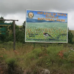 Kitulo National Park - Njombe