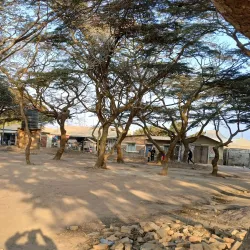 Makambako Forest Reserve - Njombe