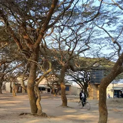 Makambako Forest Reserve - Njombe