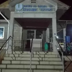 Njombe Tea Factory Tour - Njombe