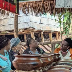 Local Coffee Plantations - Songea