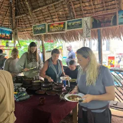 Local Coffee Plantations - Songea