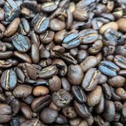 Local Coffee Plantations - Songea