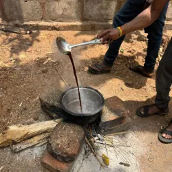 Local Coffee Plantations - Songea