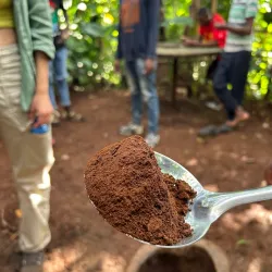 Local Coffee Plantations - Songea