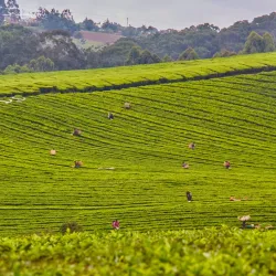 Matamba Hills - Songea