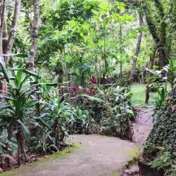Mbuyuni Waterfalls - Songea