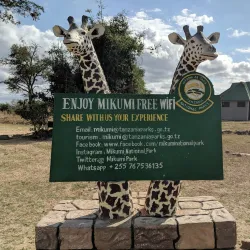 Mikumi National Park (Day Trip) - Songea