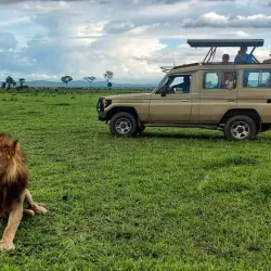 Mikumi National Park (Day Trip) - Songea