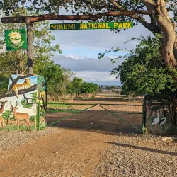 Mikumi National Park (Day Trip) - Songea