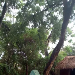 Songea District Museum - Songea