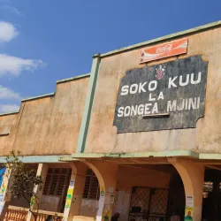Songea Market - Songea