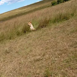 Tabora Town Square - Tabora