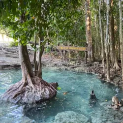 Emerald Pool (Sa Morakot) - Ao Nang