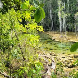 Emerald Pool (Sa Morakot) - Ao Nang