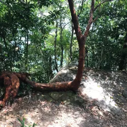 Thung Teao Forest Natural Park - Ao Nang