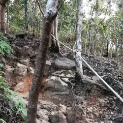 Thung Teao Forest Natural Park - Ao Nang