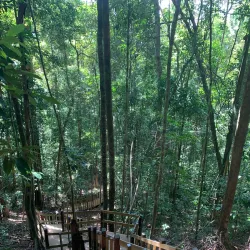 Thung Teao Forest Natural Park - Ao Nang