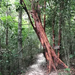 Thung Teao Forest Natural Park - Ao Nang