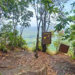 Thung Teao Forest Natural Park - Ao Nang