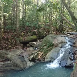 Thung Teao Forest Natural Park - Ao Nang
