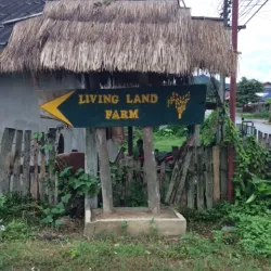 Local Rice Fields and Farming Tours - Ban Phai