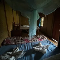 Local Rice Fields and Farming Tours - Ban Phai