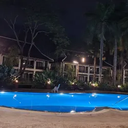 Local Rice Fields and Farming Tours - Ban Phai