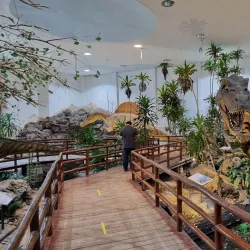 Phu Wiang Dinosaur Museum - Ban Phai