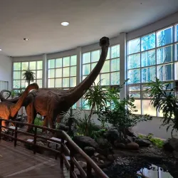Phu Wiang Dinosaur Museum - Ban Phai