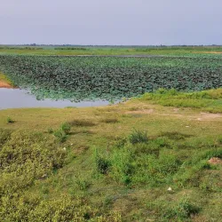 Wat Ban Phai - Ban Phai