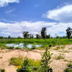 Wat Ban Phai - Ban Phai