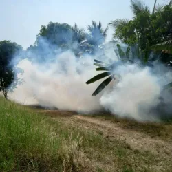 Wat Ban Phai - Ban Phai