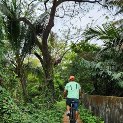 Local Bicycle Tours - Bang Buathong