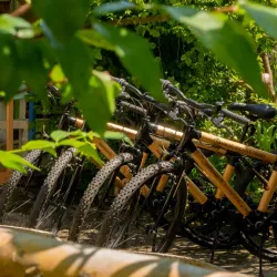 Local Bicycle Tours - Bang Buathong