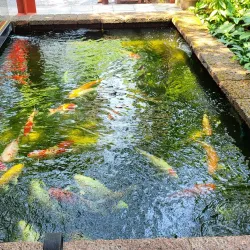 Jim Thompson House - Bangkok