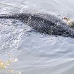 Lumphini Park - Bangkok