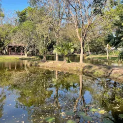 Cha-am Forest Park - Cha-am