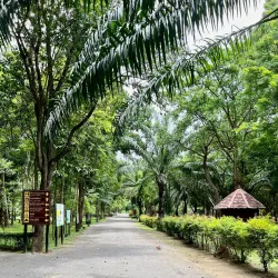 Cha-am Forest Park - Cha-am