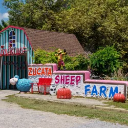 Swiss Sheep Farm Cha-Am - Cha-am