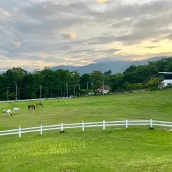 Swiss Valley Hip Resort - Cha-am